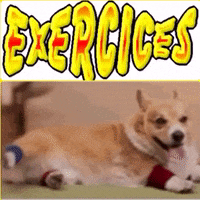 dog illustration GIF by The Videobook