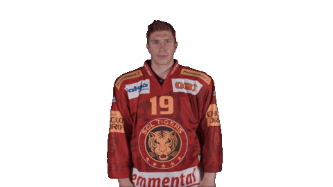 Scltigers Swipe Up Sticker by scl_tigers_official