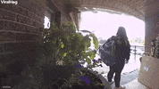 Girl Slips While Swatting At Snow GIF by ViralHog