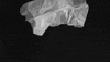scifri sneezing GIF by Science Friday