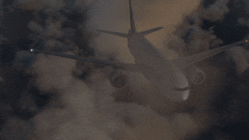 Flight Attendants Aviation GIF by PBS