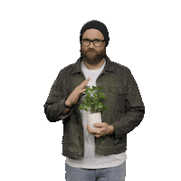 Plant Sticker by ZM