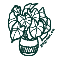 Plant Monstera Sticker by PS Post