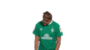 Sticker Werderfrauen Sticker by SV Werder Bremen