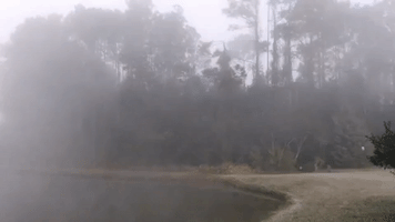 Frosty Air and Fog Descend On Coastal Florida
