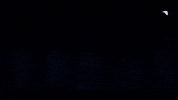 Lol GIF by movistar_riders