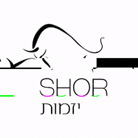 shayshoeinvest shor GIF
