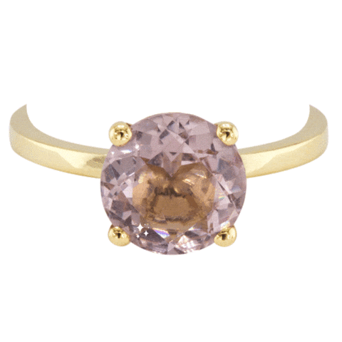 Gold Ring Sticker by The SISS BLISS