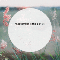 Motivation September GIF by Maria Johnsen