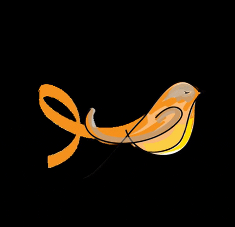 dnobregaodonto giphygifmaker julho laranja GIF