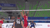 Happy Celebration GIF by Volleyball World