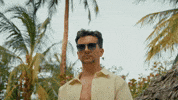 Serious Palm Tree GIF by DEEPSYSTEM