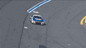 Chase Elliott Sport GIF by NASCAR