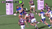Nrl GIF by Canberra Raiders