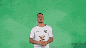 well done yes GIF by Carabao UK