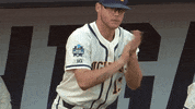 clapping michiganbaseball GIF by Michigan Athletics