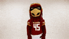 Ace Ulm GIF by University of Louisiana Monroe