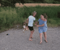 Tvln GIF by The Vanlife Network