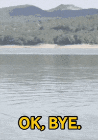 Tvln GIF by The Vanlife Network