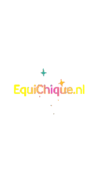 Sparkle Equiline Sticker by Talitha Ombach