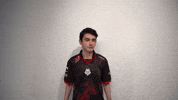 League Of Legends Lol GIF by G2 Esports