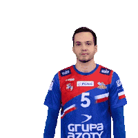 Handball Pgnigsuperliga Sticker by KS Azoty-Puławy S.A.
