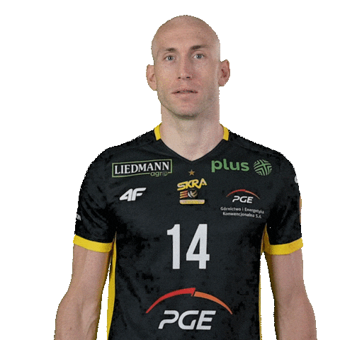 Volleyball Wskazywanie Sticker by PGE GiEK Skra Bełchatów