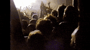 Purple Hat GIF by SOFI TUKKER