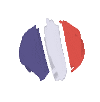 France Flag Sticker