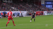 fckoeln football soccer goal bundesliga GIF
