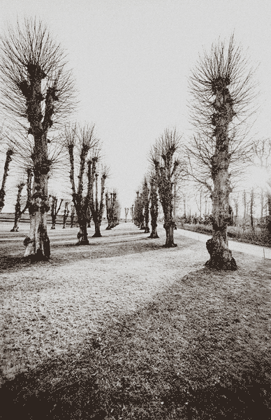 GIF by The Dead South