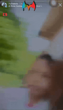Feliz Fiesta GIF by Murcianys LLC