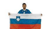 Mitja Gasparini Flag Sticker by Generali.si