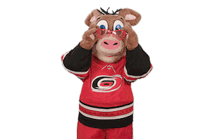 Ice Hockey Sticker by NHL