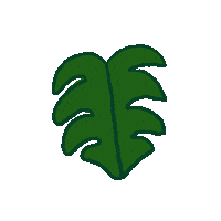Green Leaf Sticker by Function of Beauty