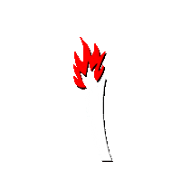 Coach Flame Sticker