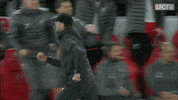happy come on GIF by Liverpool FC