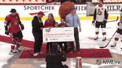 ice hockey GIF by NHL