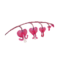 Heart Flower Sticker