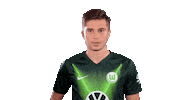 Soccer Instagram Sticker by VfL Wolfsburg
