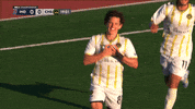South Carolina Soccer GIF by Charleston Battery