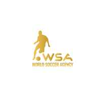 worldsocceragency football lucci wsa worldsocceragency Sticker