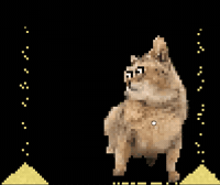 Mei Mei Dancing GIF by R74n