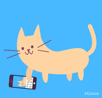 cat selfie GIF by Christina Lu