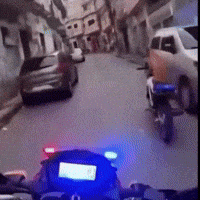 Dog Police GIF