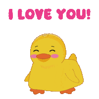 Happy I Love You Sticker by MeetDuckey