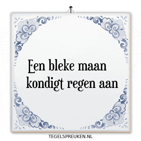 Wijsheid Reflectie GIF by Tegelspreuken.nl