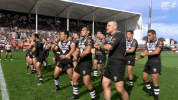 world cup league GIF by NRL