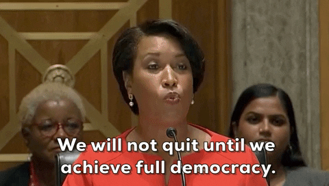 Dc Statehood GIF by GIPHY News