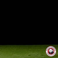 OfficialPandaExpress dance happy dance panda dance moves GIF